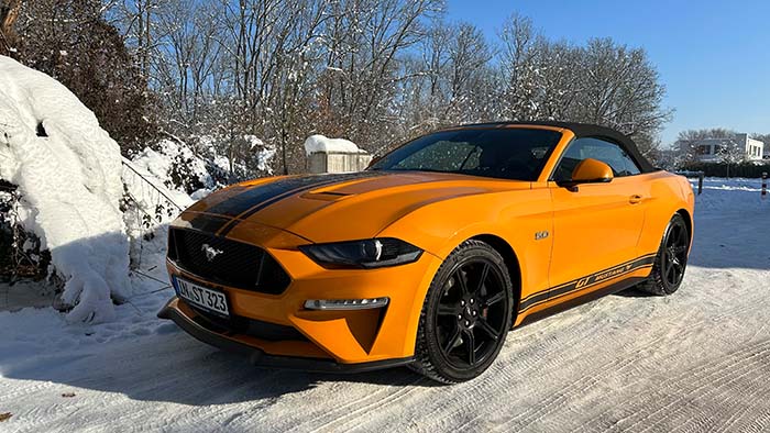Mustang Mustang